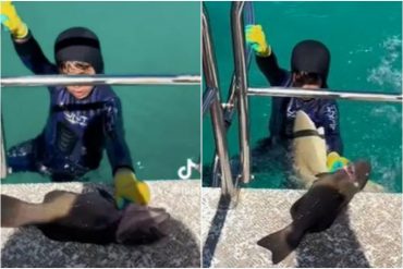 Tiburón atacó a niño de ocho años que pescaba con su padre en Australia y la grabación se viralizó