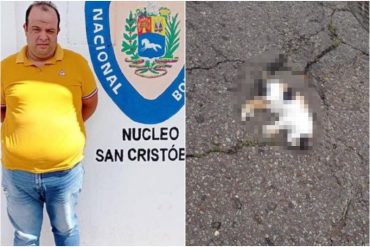 Imputado hombre que arrolló intencionalmente a un gato en Táchira: le causó la muerte inmediata al embestirlo con una moto