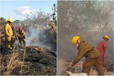 Advierten de un incremento de incendios forestales en Lara en las últimas semanas (+Fotos)