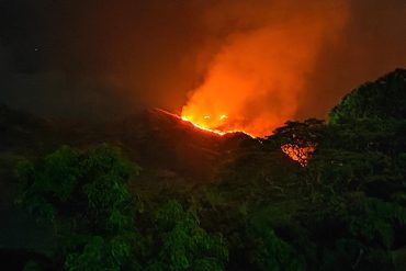 Un incendio forestal consumió más de 100 hectáreas del Parque Nacional Henri Pittier (+Fotos)