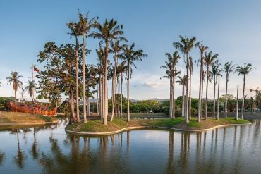 Los árboles del Parque del Este están llenos de parásitos y exhortan a las autoridades a aplicar un tratamiento fitosanitario