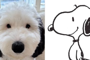 La tierna perrita que se hizo viral en redes sociales por su increíble parecido con Snoopy (+Fotos)