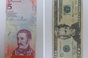 Compra de cajas repletas de bolívares en la frontera con Colombia: descubren operación de falsificación de dólares con los devaluados billetes venezolanos