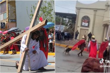 Se viraliza video de perrito que defendió a Jesus de los azotes de un soldado romano durante representación de un vía crucis  (+Video)