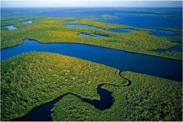 Advierten que el Estado venezolano tiene una deuda con la protección de la biodiversidad