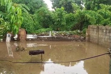 Varios sectores de Maracaibo quedaron inundados tras dos horas continuas de lluvia (+Video)