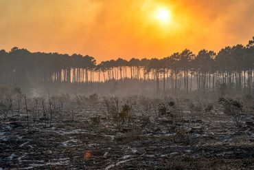 Buena parte del país con elevado riesgo de incendios forestales por altas temperaturas