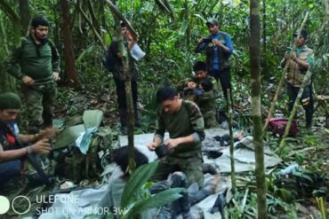 “Fariña”, una harina hecha a base de yuca amarga que ayudó a sobrevivir a niños perdidos en la selva colombiana