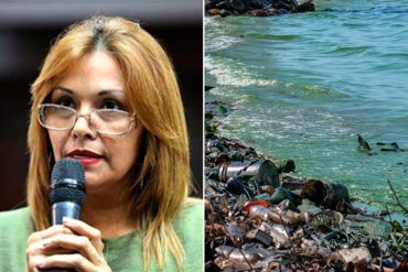 Denuncian que “solución” improvisada del chavismo para sanear el lago de Maracaibo ha generado un problema mayor