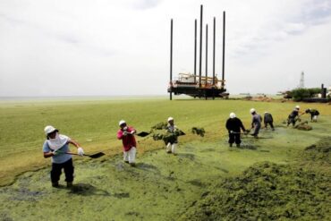 Cierran seis empresas que operaban en las orillas del Lago de Maracaibo por supuestamente incumplir normas ambientales