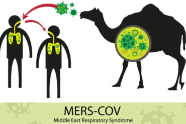 OMS confirma caso positivo del síndrome respiratorio de Oriente Medio (MERS-CoV): es más mortal que el virus causante del COVID-19