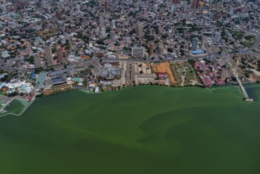 Después de la grave contaminación: régimen chavista anunció un plan de “recuperación” del lago de Maracaibo y admitió que “tomará tiempo”