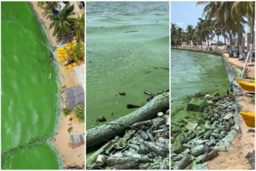 Sin mencionar a Pdvsa ni los derrames de petróleo: Ministerio de Ecosocialismo “endurecerá” la fiscalización a industrias que operan en el lago de Maracaibo