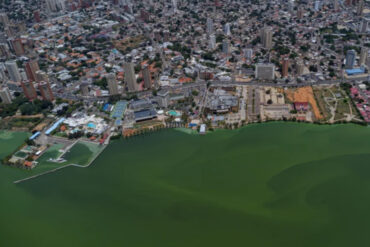 El pantano verde de petróleo y bacterias que cubren el Lago de Maracaibo: pescadores reportan pérdidas de miles de dólares