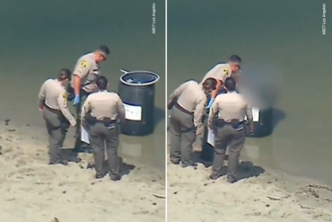 Hallan un cadáver dentro de un contenedor que flotaba en las playas de Malibú (+Video)