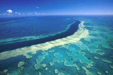 Gran Barrera de Coral queda fuera de la lista de patrimonio “en peligro” de la Unesco