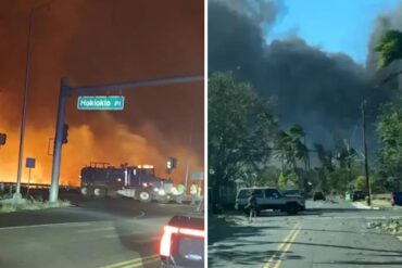 “Es apocalíptico”: Los incendios forestales en Hawái hacen que los ciudadanos se lancen al mar por el desespero (+Video)