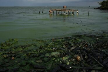 Pescadores del lago de Maracaibo enfrentan su peor pesadilla: cada día disminuyen las poblaciones de peces y la contaminación afecta la salud (+Fotos)