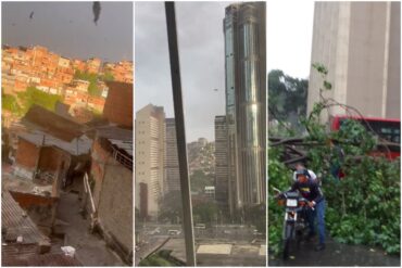 Árboles caídos y techos desprendidos en varias zonas de Caracas tras fuertes vientos y lluvias que se registraron este #10Ago (+Videos)