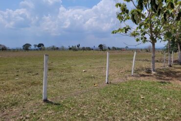 Hallaron una presunta osamenta humana enterrada en una finca en Barinas