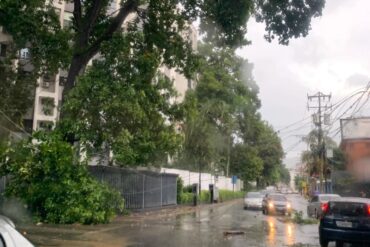 Fuertes lluvias en Caracas causaron la caída de árboles y fallas en el servicio eléctrico (+Fotos) (+Videos)