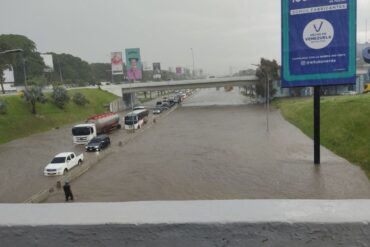 Lluvias en Caracas dejaron árboles caídos, calles anegadas y zonas sin servicio eléctrico este #21Sep (+Fotos y videos)