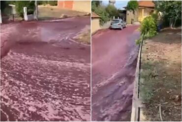 La razón por la que dos millones de litros de vino tinto inundaron las calles de un pequeño pueblo en Portugal (+Video)