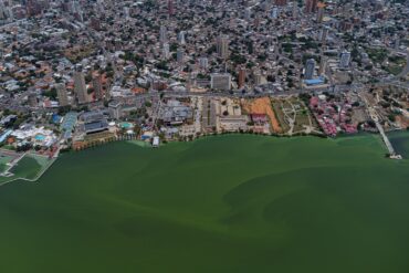 Especialistas ambientales de Países Bajos participan en la recuperación del lago de Maracaibo