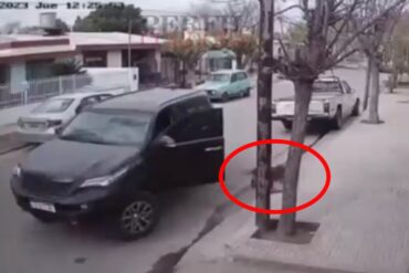 Un perro aceleró el vehículo de su dueño y terminó chocándolo contra una pared (+Video)