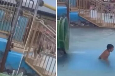 Niño de 3 años murió ahogado en parque acuático: testigos afirman que su madre no le prestaba atención por mirar el teléfono