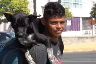 Perrito recorrió 12 países junto a su dueño y lo mataron en un intento de robo