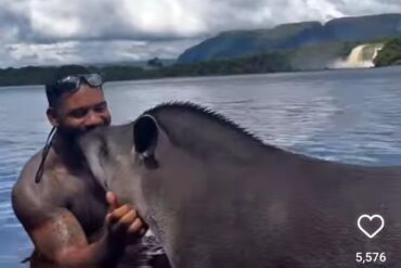 El video que un turista extranjero publicó compartiendo con una danta en Canaima