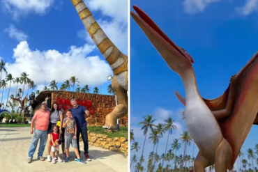 Así es Dino Park Jurásico, el parque temático que abrió en el “Camino de la felicidad” en Falcón: entradas entre 15 y 30 dólares (+Videos y detalles)