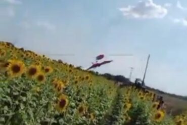 Grababa a una mujer mientras posaba en un campo de girasoles en Portuguesa y captó el momento en el que una aeronave se precipitó a tierra (+Video)