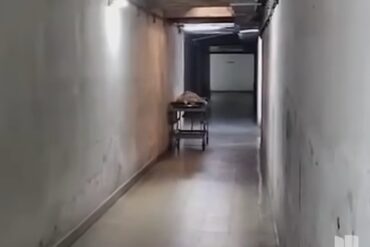 El aterrador video que grabó una enfermera en área clausurada de un hospital: la cama clínica se mueve sola (+Video)