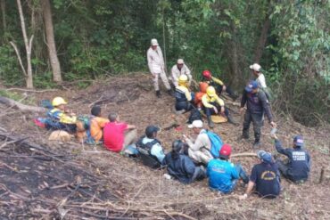 Rescataron a cuatro personas que estaban extraviadas desde el 11 de febrero en el Parque Nacional El Ávila