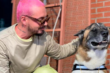 J Balvin anunció la muerte de su perrito: “Me queda la tranquilidad de haberlo disfrutado y de darle todo el amor” (+Videos)