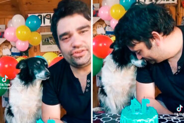 Pipo, el perrito que se hizo viral por su emoción en la celebración de su cumpleaños 14: “Ha sido mi gran amigo, es todo para mí” (+Video)