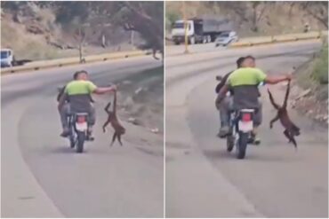 Investigarán a dos hombres que transportaban a un mono en una moto en Carabobo: lo llevaban agarrado por la cola (+Video)