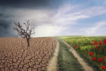 La ONU advierte que “los impactos climáticos agravan la inseguridad alimentaria”