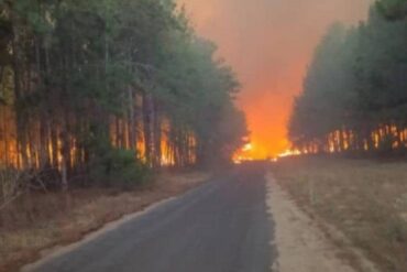 Se registró un incendio en bosque de Uverito, propiedad de Maderas del Orinoco: No se sabe número de hectáreas afectadas (+Detalles)