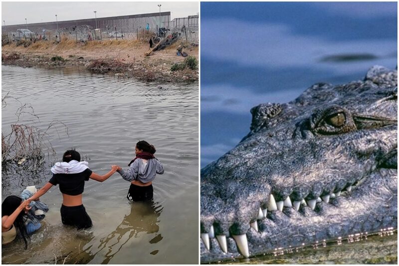 ¿Realmente el gobierno de EEUU lanzó miles de cocodrilos al río Bravo para evitar la entrada de migrantes indocumentados al país?