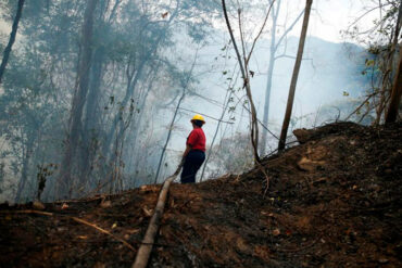 Chavismo reportó cerca de 60.000 hectáreas afectadas por más de 3.000 incendios en el país, pero aseguró que no hay “gran pérdida” de biodiversidad