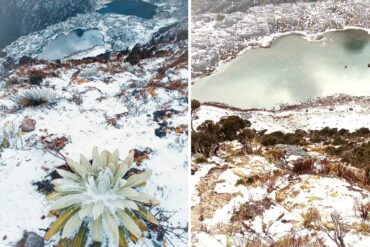 La espectacular nevada que cubrió la estación Loma Redonda del Teleférico Mukumbarí de Mérida (+Fotos)