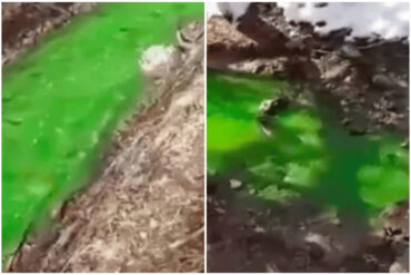 Un río en Rusia adquirió repentinamente un color verde fosforescente y desconcertó a los habitantes de la ciudad (+Video)