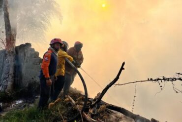 Se han registrado más de 60 incendios forestales en El Hatillo debido a la temporada de sequía en este 2024