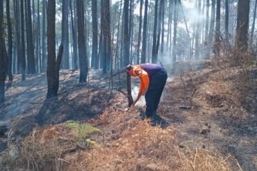 Por dos semanas restringieron en Carabobo acceso a parques y áreas de interés ecológico (+Video)