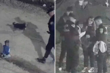 Bebé de un año se escapó gateando de su casa junto a su perro de madrugada: la policía lo rescató (+Video)