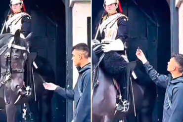 “No he hecho una mierd*”: por molestar a un Guardia Real británico fue detenido un tiktoker (+Video)