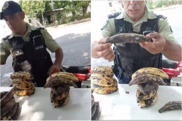 “Están en estado de descomposición”: policía le prohibió a un comerciante en Maracay vender plátanos porque estaban supuestamente dañados (+Video)